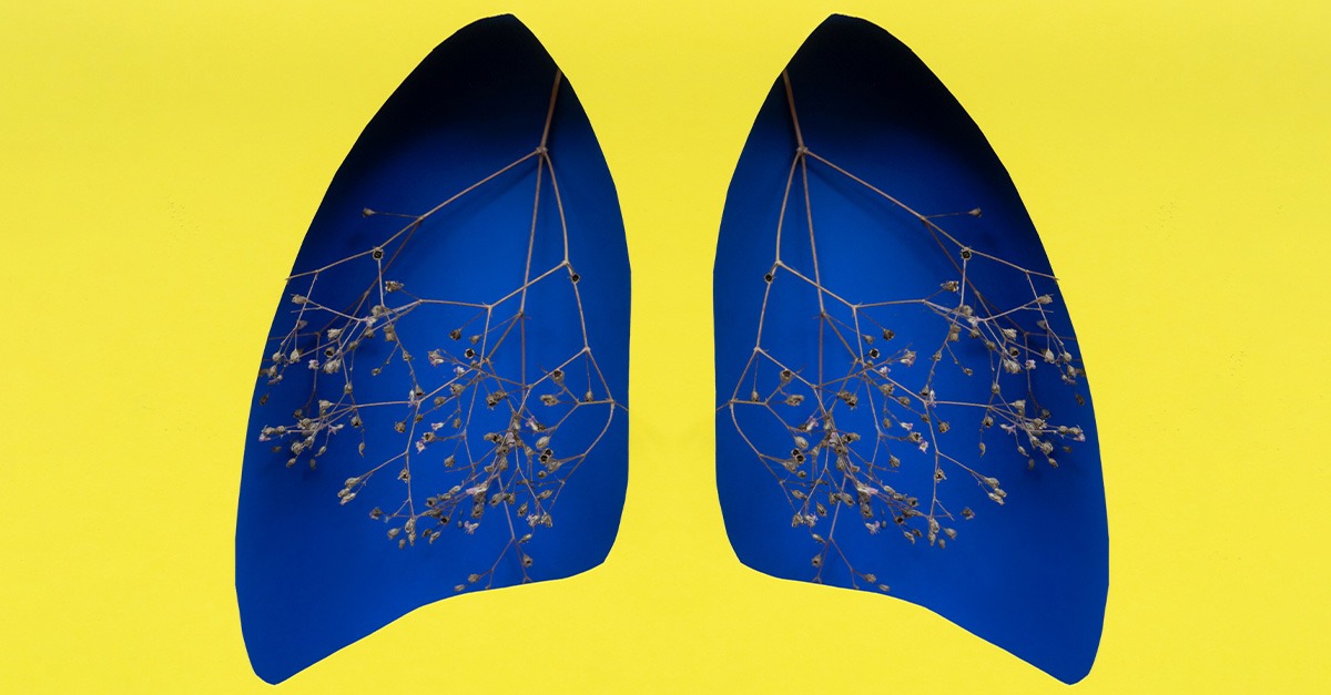 A symbolism of pulmonary fibrosis: an illustration of lungs with dead flowers as the airways